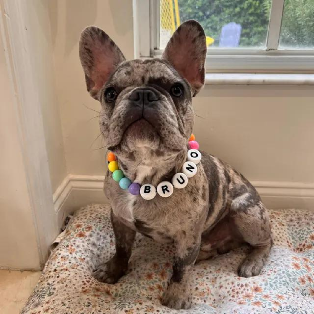 Furiend™ BFF Dog Collar + Free Matching Bracelet - 4th Of July Edition