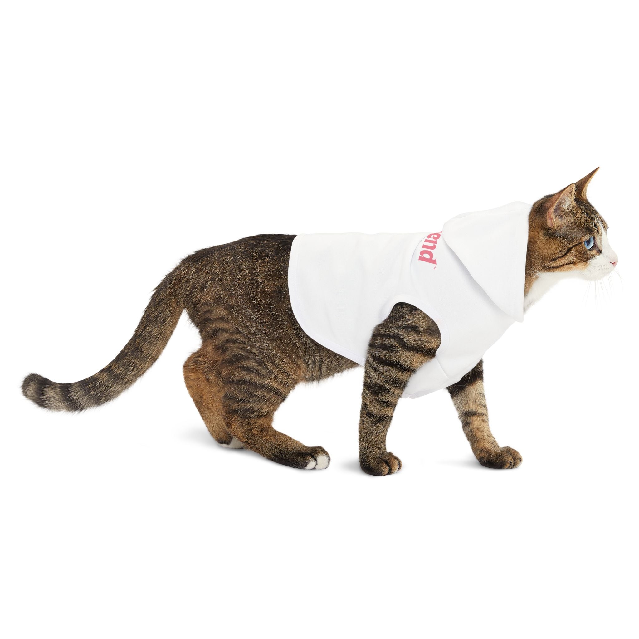 Custom Furiend Hoodie