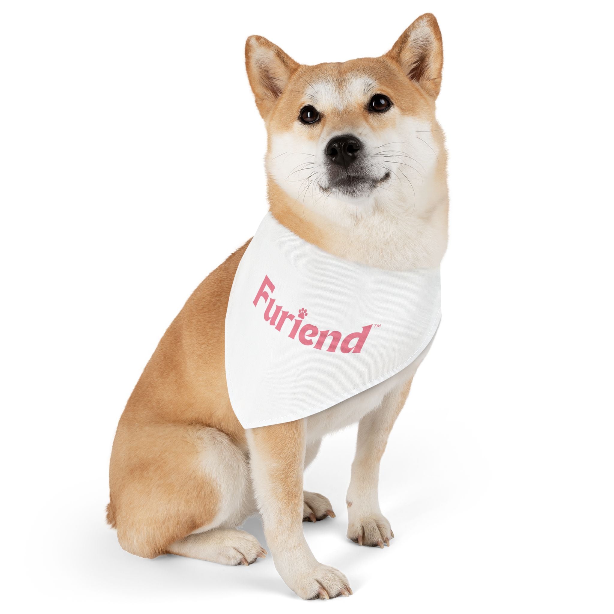 Custom Furiend Pet Bandana Collar