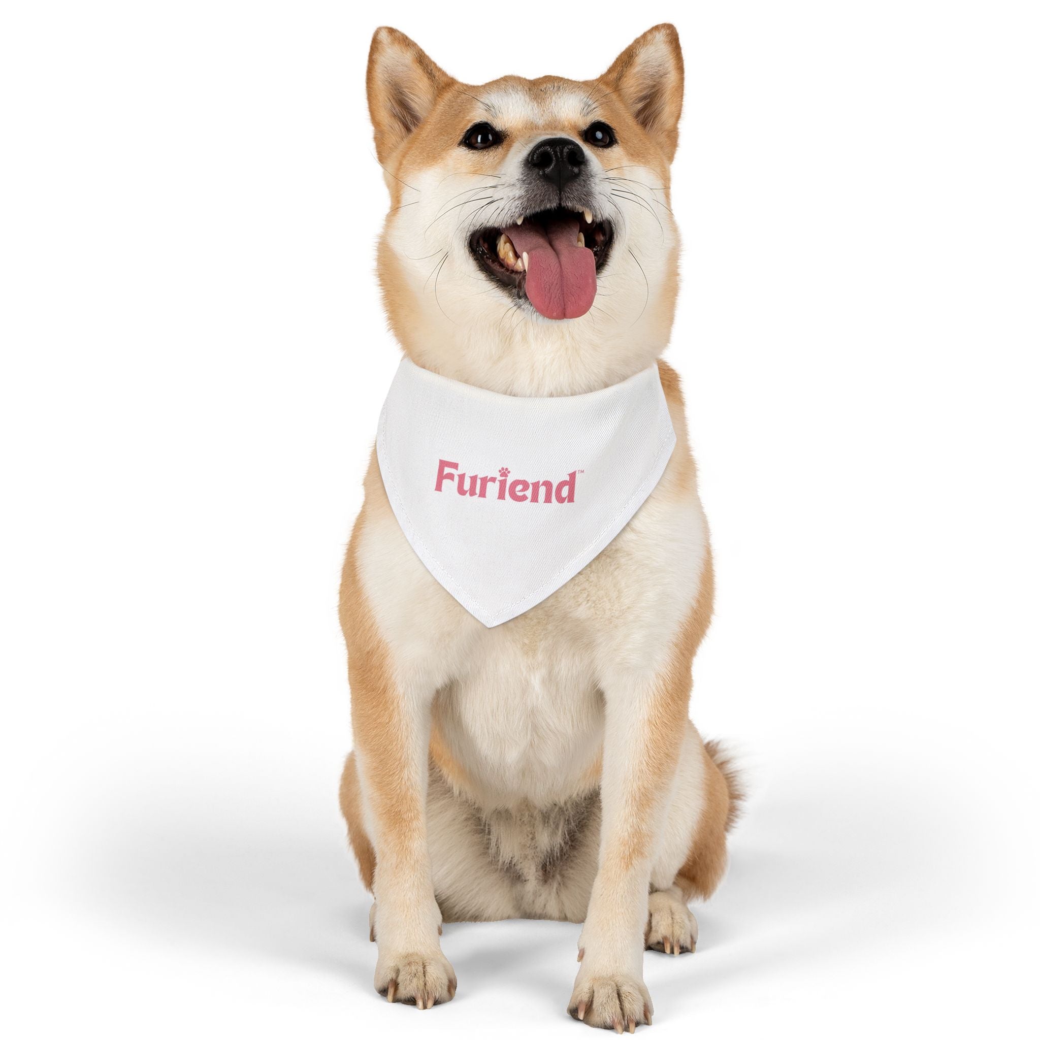 Custom Furiend Pet Bandana Collar