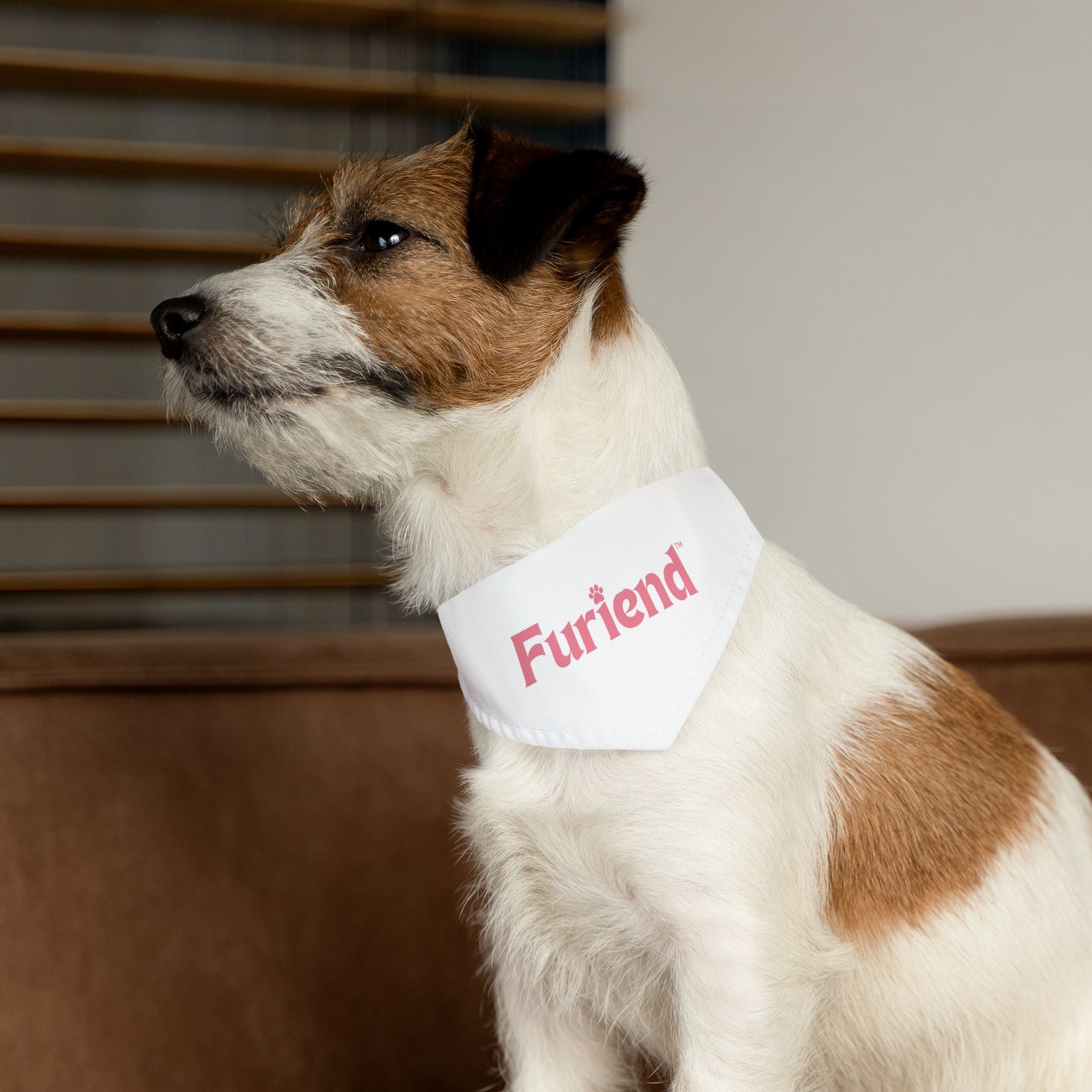 Custom Furiend Pet Bandana Collar