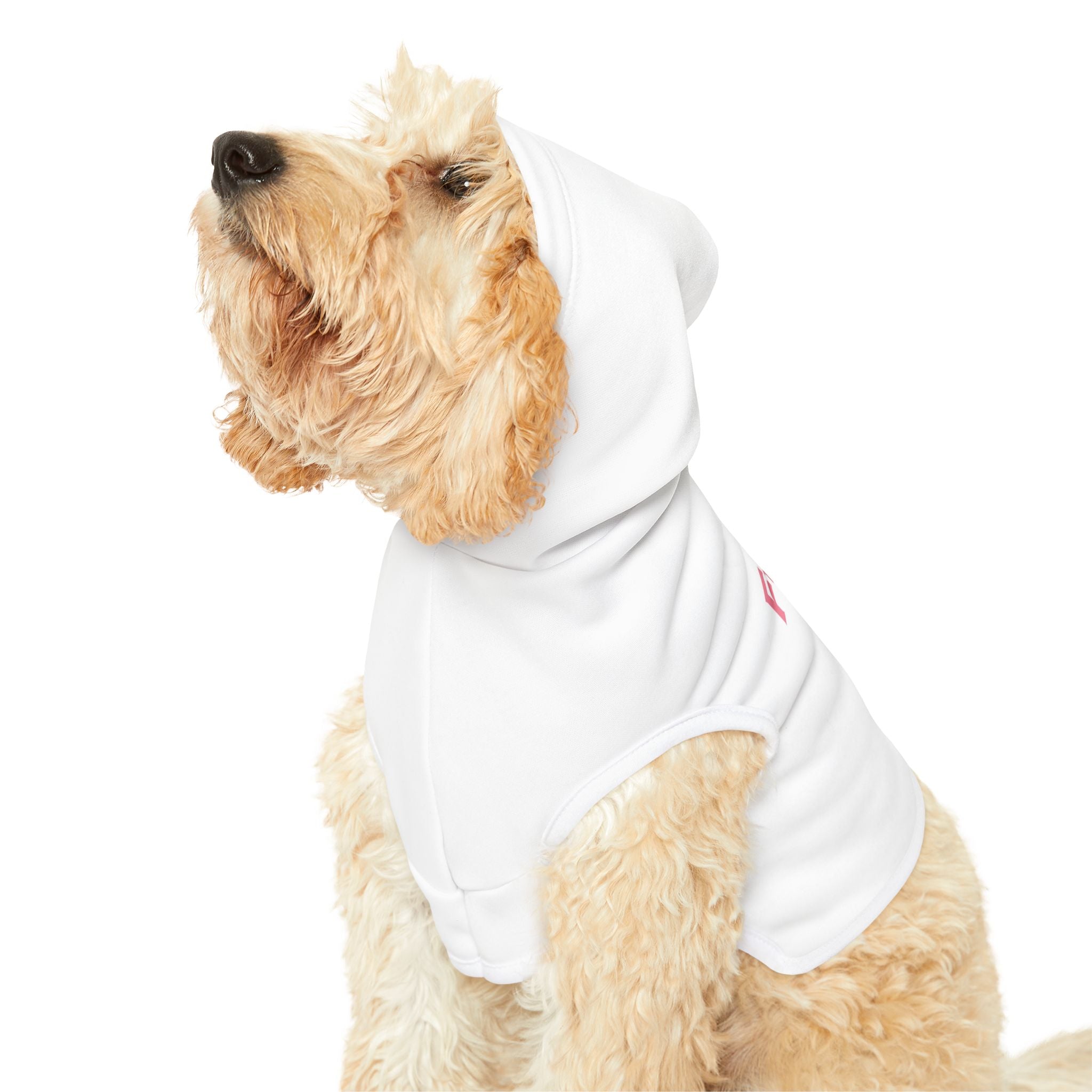 Custom Furiend Hoodie
