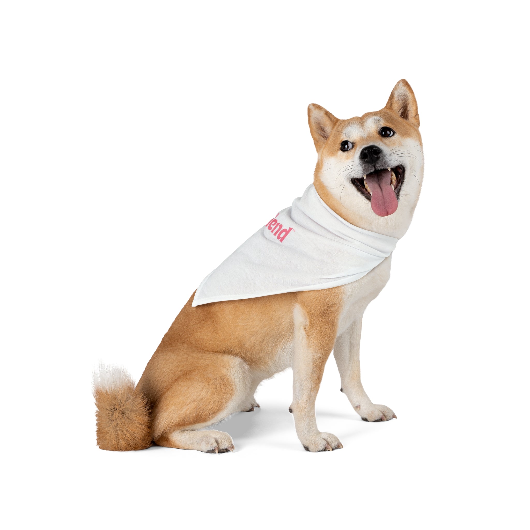 Custom Furiend Pet Bandana