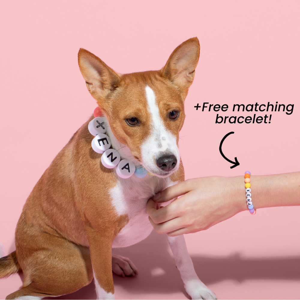 Furiend™ BFF Dog Collar + Free Matching Bracelet - 4th Of July Edition