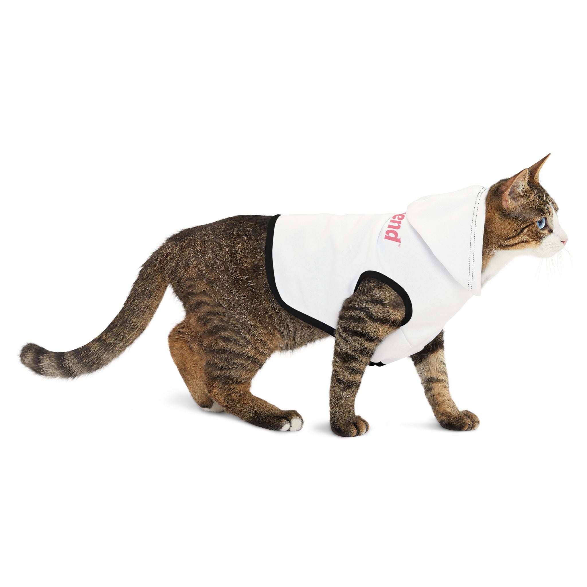Custom Furiend Hoodie