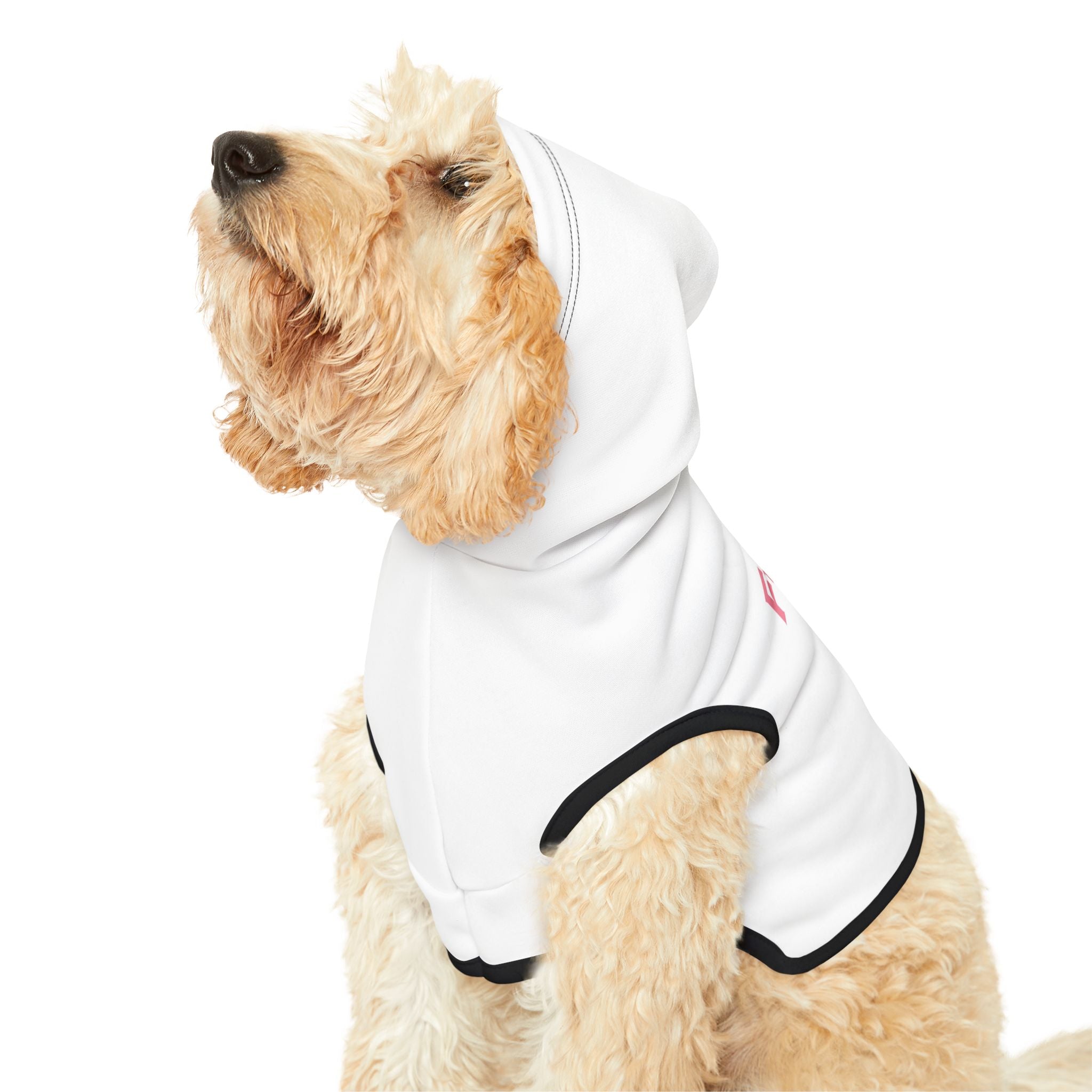 Custom Furiend Hoodie
