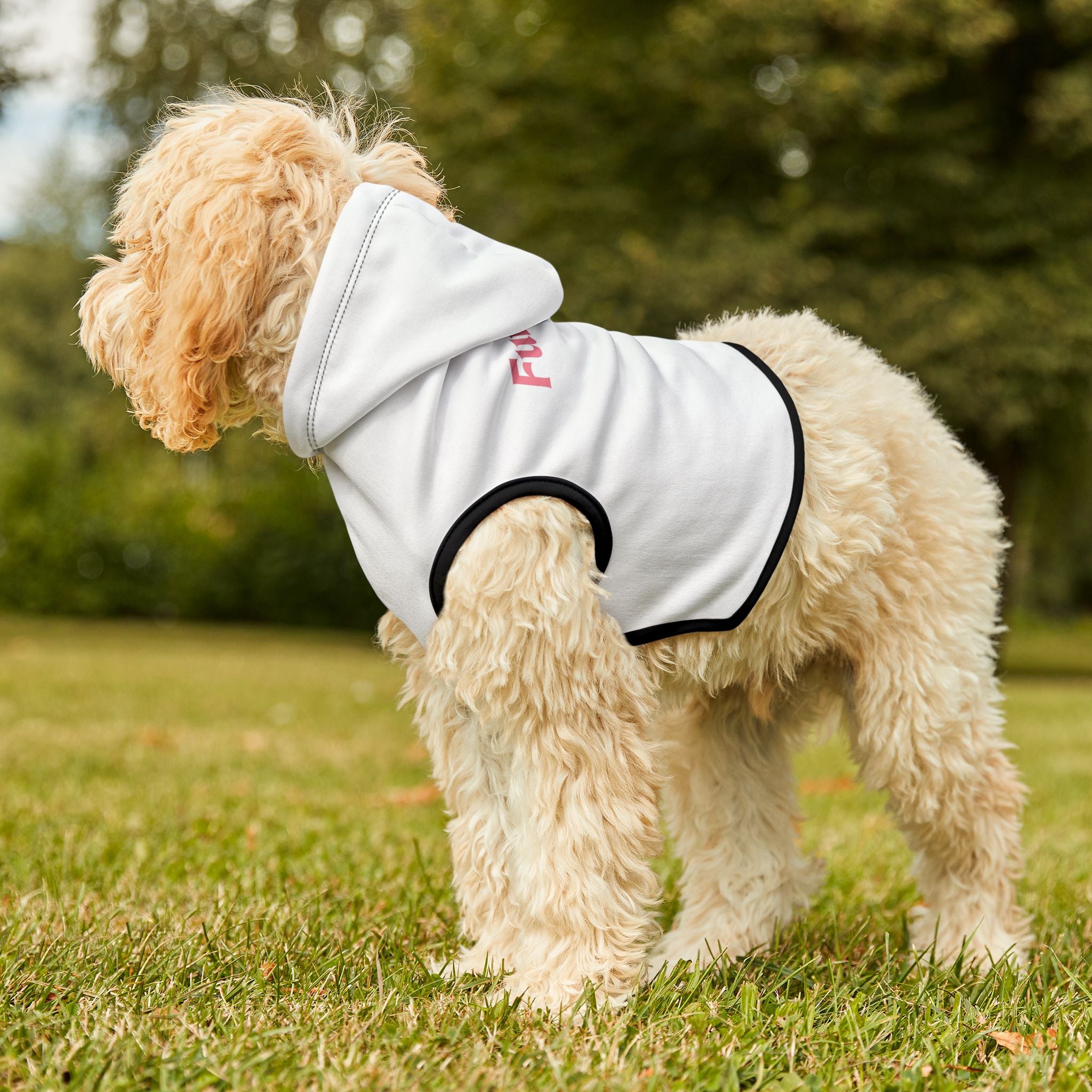 Custom Furiend Hoodie