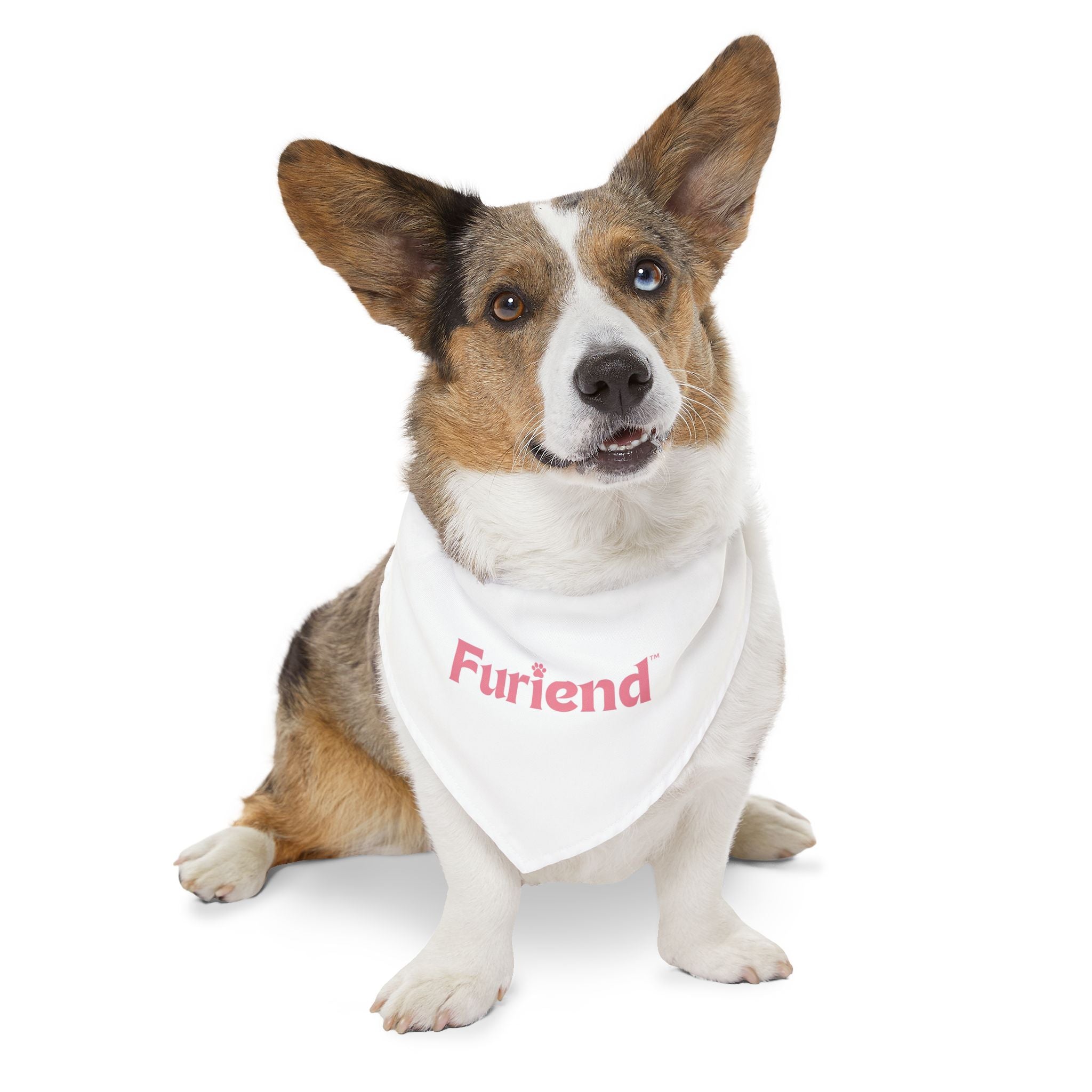 Custom Furiend Pet Bandana Collar
