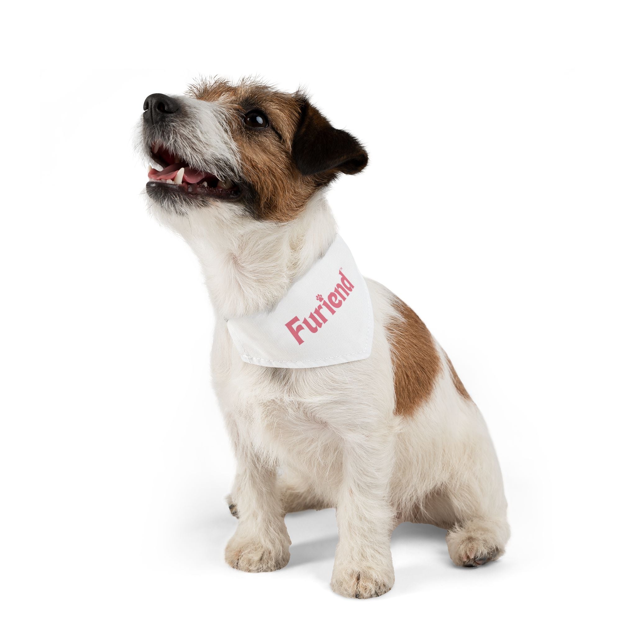 Custom Furiend Pet Bandana Collar