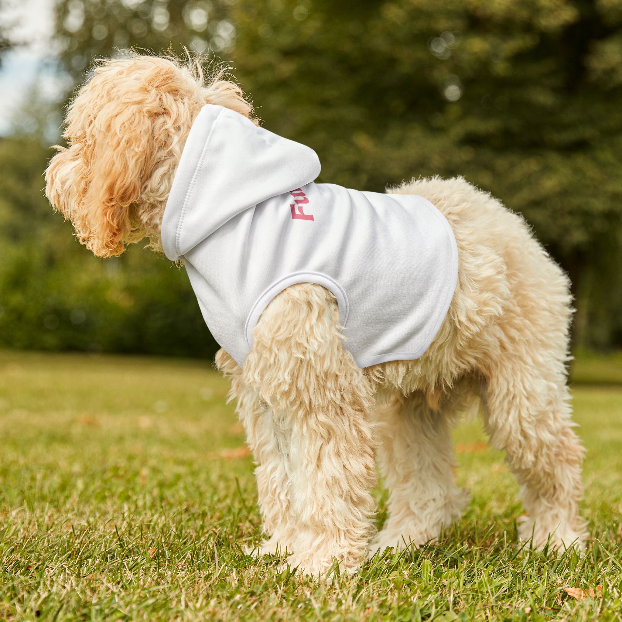 Custom Furiend Hoodie