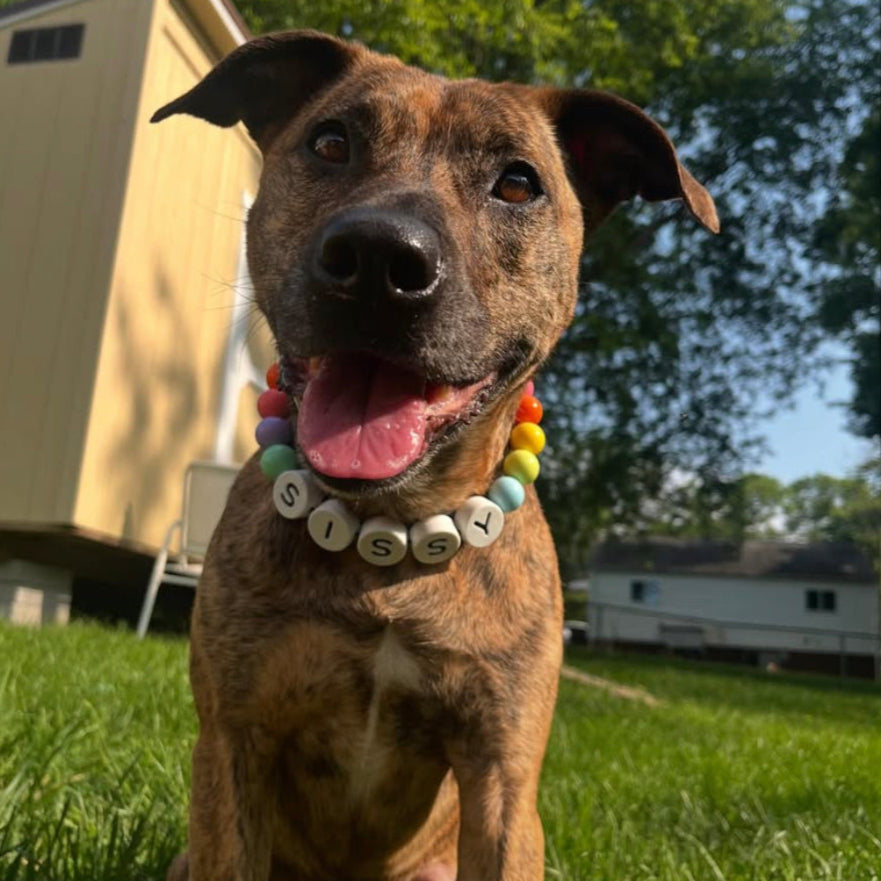 Furiend™ BFF Dog Collar + Free Matching Bracelet