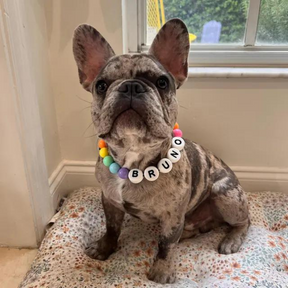 Furiend™ BFF Dog Collar + Free Matching Bracelet