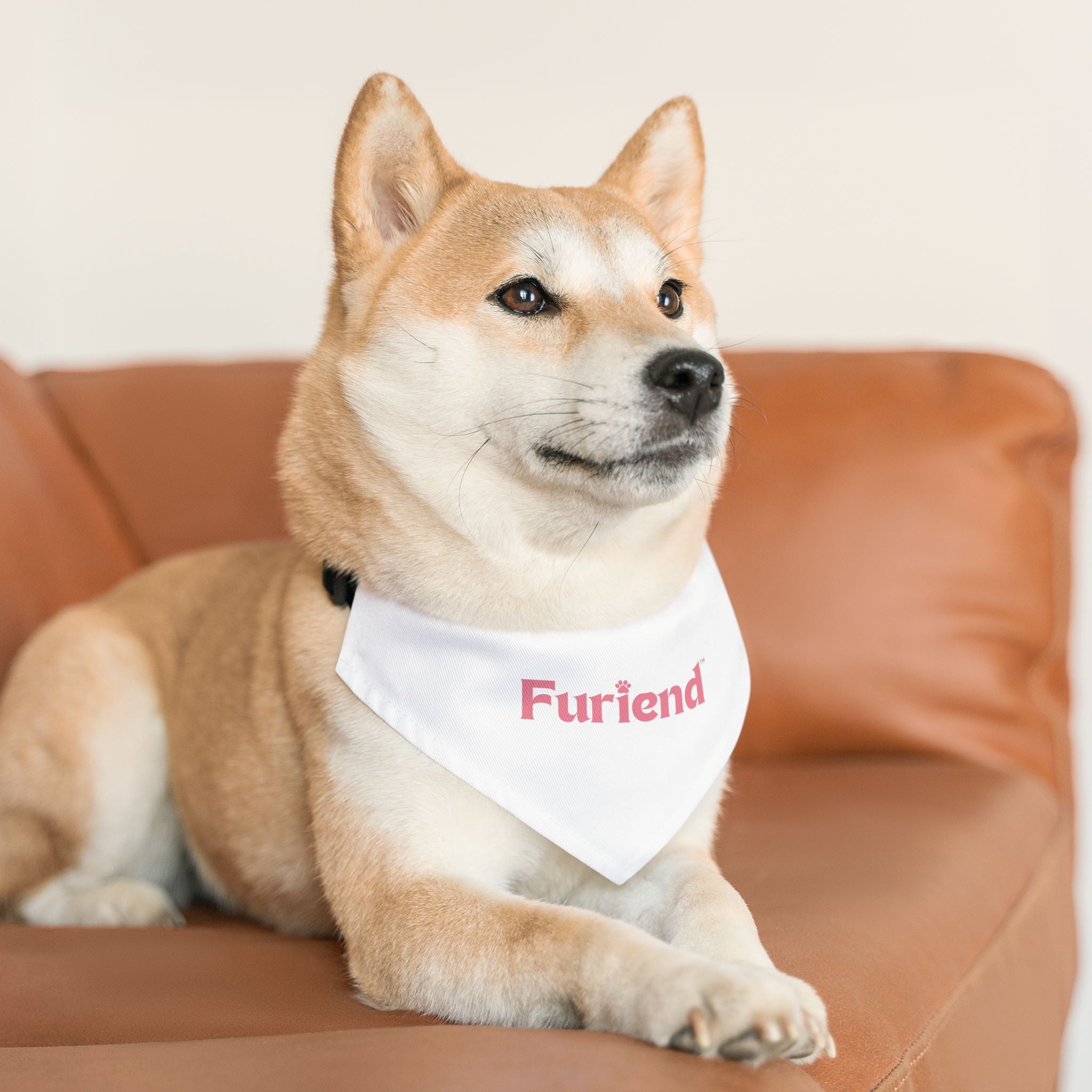 Custom Furiend Pet Bandana Collar