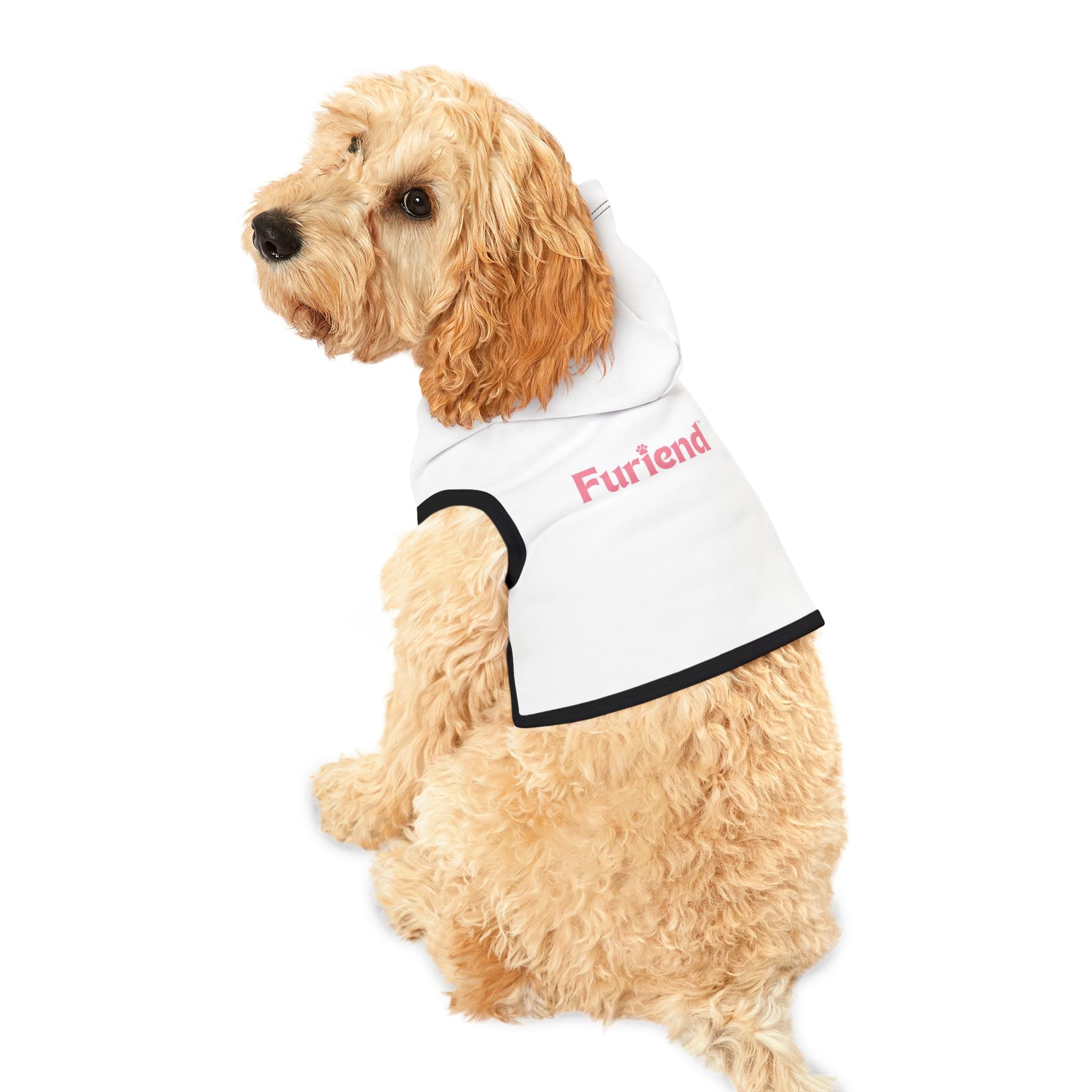 Custom Furiend Hoodie