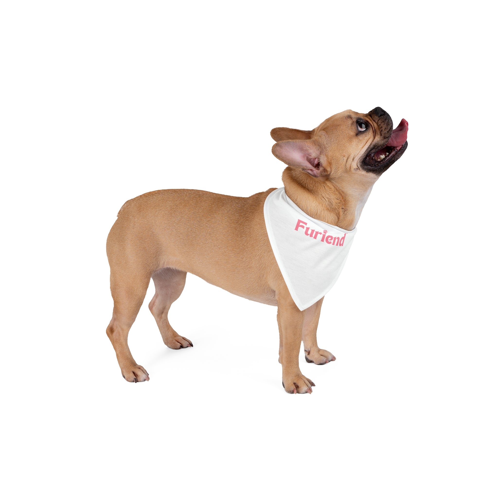 Custom Furiend Pet Bandana