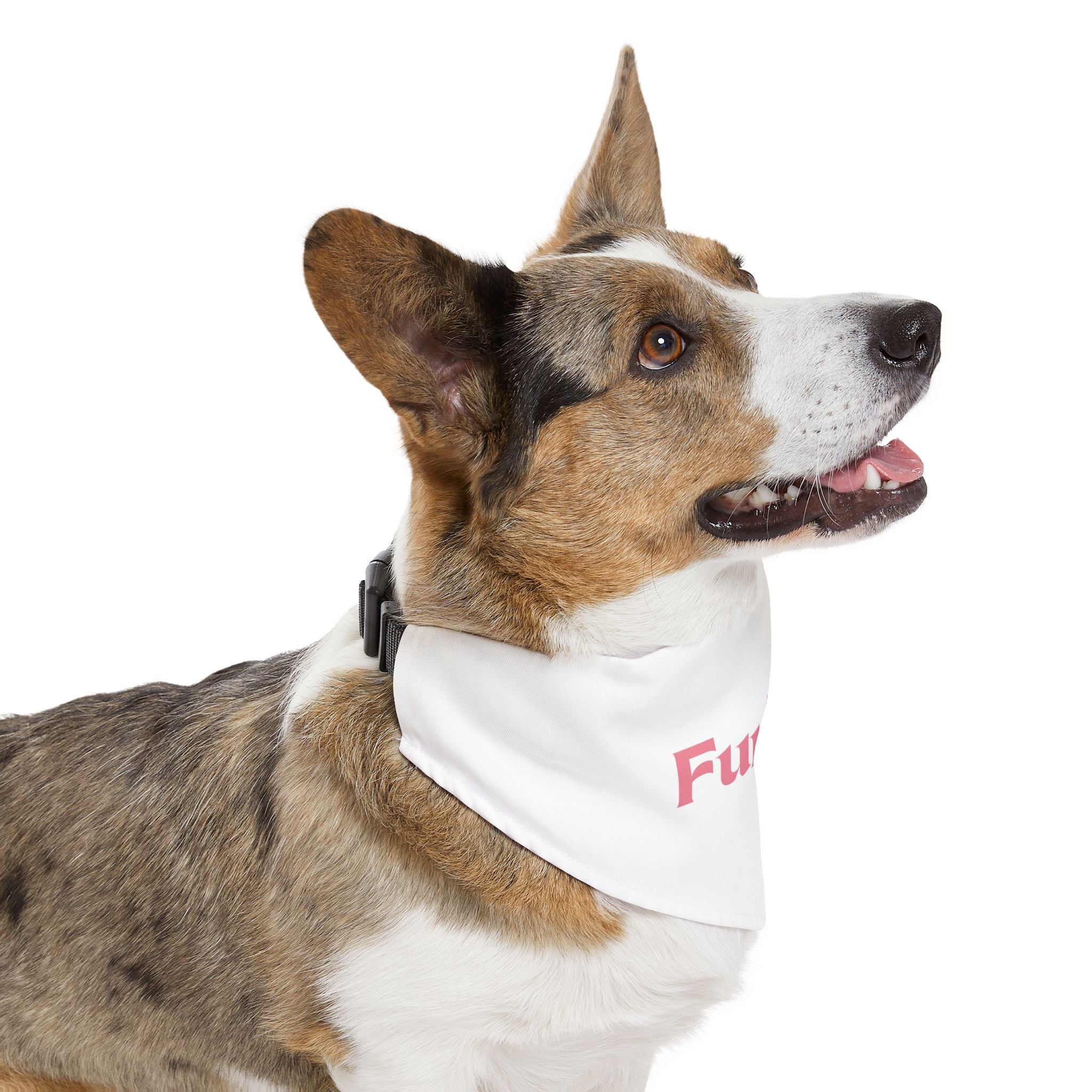Custom Furiend Pet Bandana Collar