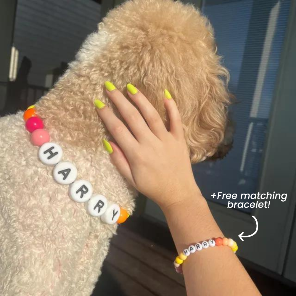 Furiend™ BFF Dog Collar + Free Matching Bracelet