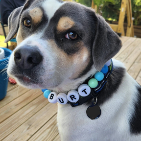 Furiend™ BFF Dog Collar + Free Matching Bracelet