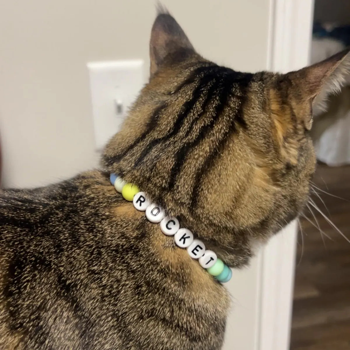 Custom BFF Cat Collar + Free Matching Bracelet | You Choose the colors