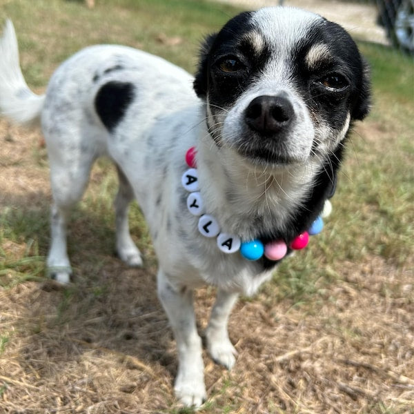 Furiend™ BFF Dog Collar + Free Matching Bracelet